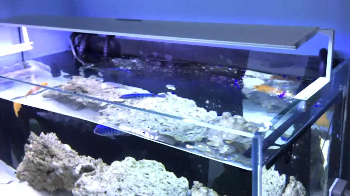 MicMol - Newest Aqua Air LED Aquarium Lighting